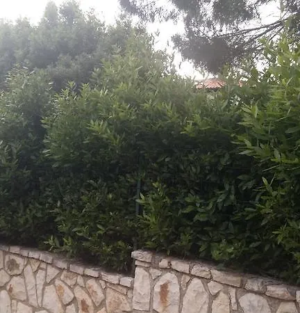 Duplex Eleonora Banjole