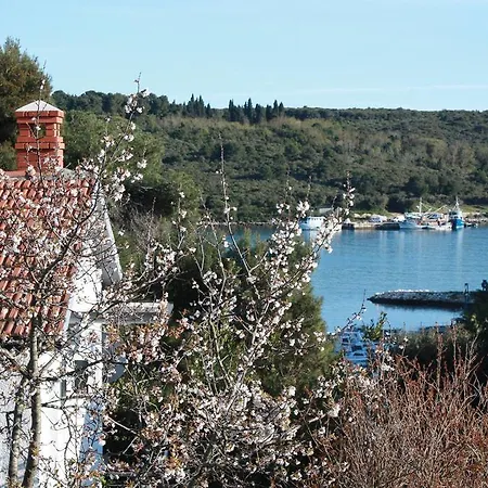 Duplex Eleonora