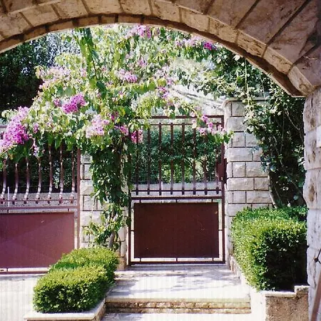Duplex Eleonora *